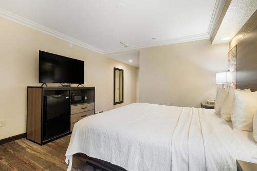 Best Western Plus Wine Country Inn & Suites - image 10