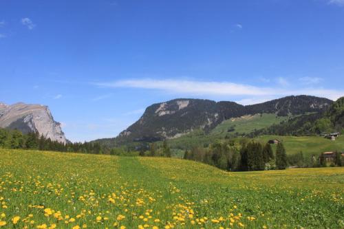 สภาพแวดล้อมโดยรอบ, Kanistraum Appartement in สคอปเปอร์เนา