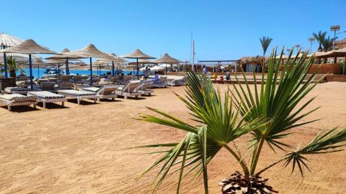 绿松石海滩酒店