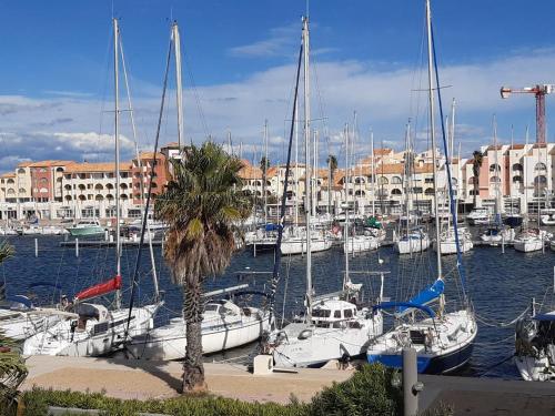 T2 Port Leucate avec vue sur les voiliers - Location saisonnière - Leucate