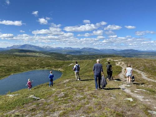 Bualie - Golsfjellet - Biking, swimmming, hiking. High standard.