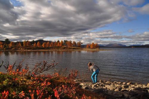 Bualie - Golsfjellet - Biking, swimmming, hiking. High standard.