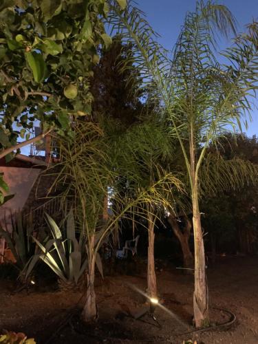 Jardín, Casa Vacanze Astori in Trabia