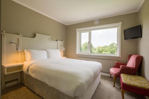 Lios Na Manach ECO B&B in Ballycasheen Area