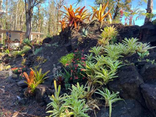 Exotic Garden cottage at amazing volcano fissure