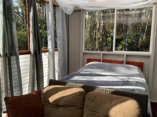 Exotic Garden cottage at amazing volcano fissure in Hawaiian Acres (HI)