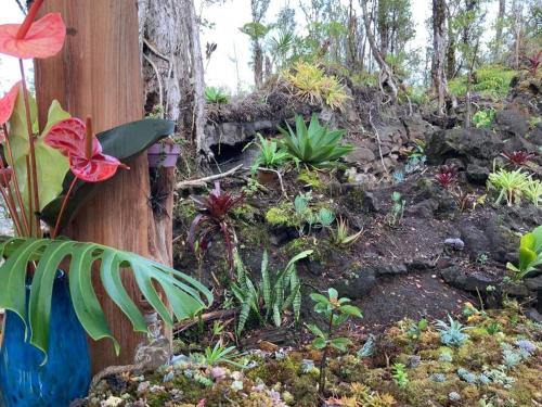 Exotic Garden cottage at amazing volcano fissure