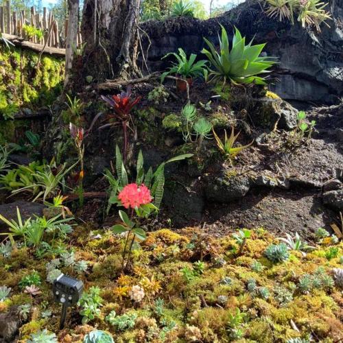 Exotic Garden cottage at amazing volcano fissure