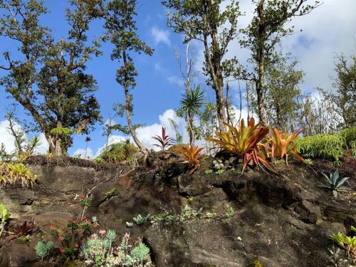 Exotic Garden cottage at amazing volcano fissure