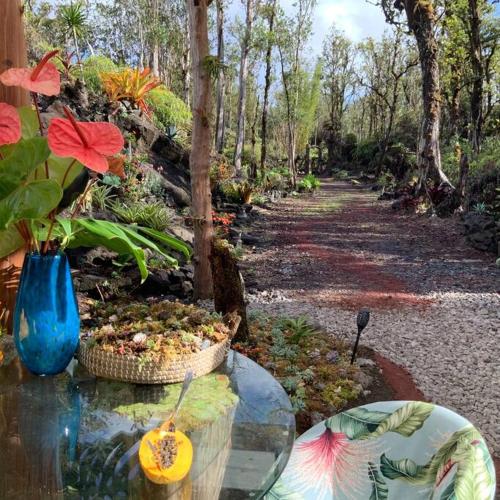 Exotic Garden cottage at amazing volcano fissure