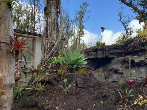 Exotic Garden cottage at amazing volcano fissure