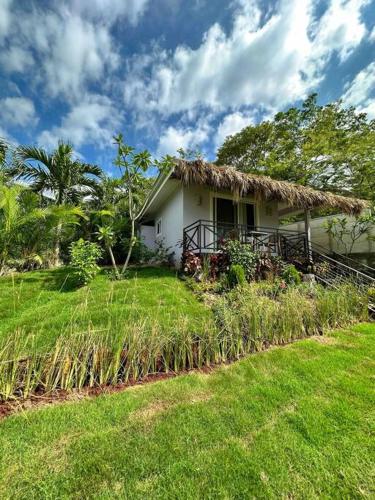 Luxury Home - Playa Tamarindo - Infinity Pool