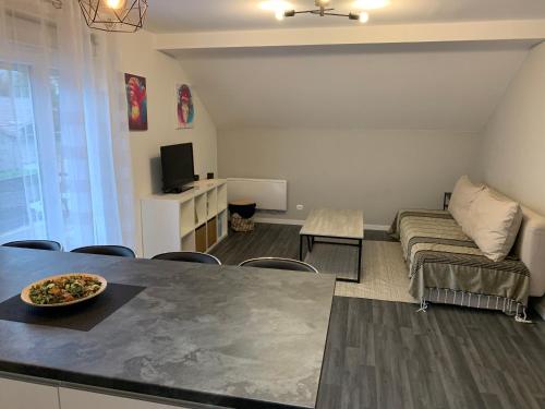 Appartement L'épicentre 2 (Appartement L'epicentre 2) in Scionzier