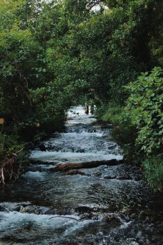 FJAKA - Kuća za odmor - NP Krka