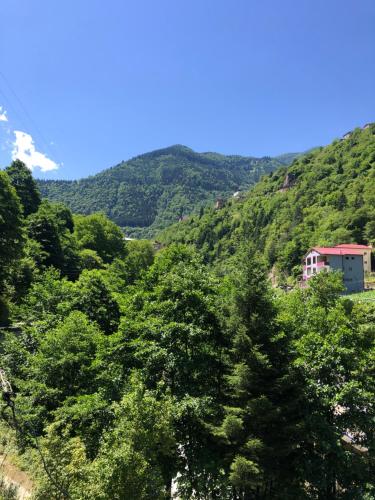 UZUNGÖL Nehir ve Doğa Manzaralı Büyük SUİTE Daire