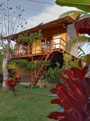 Jungle House - surf & stay Room Type - 4-Bed Mixed Dormitory Room