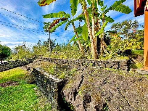 Home near Volcano National Park, Hilo, Kehena