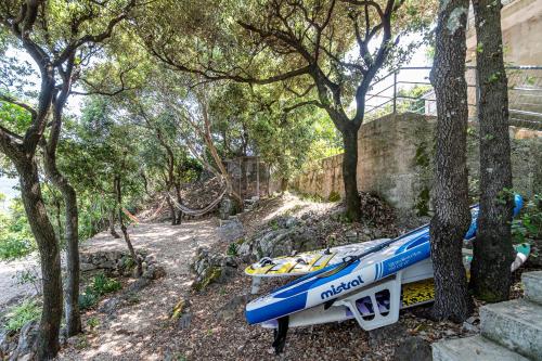 Apartment Tri Zala 9237a - image 7