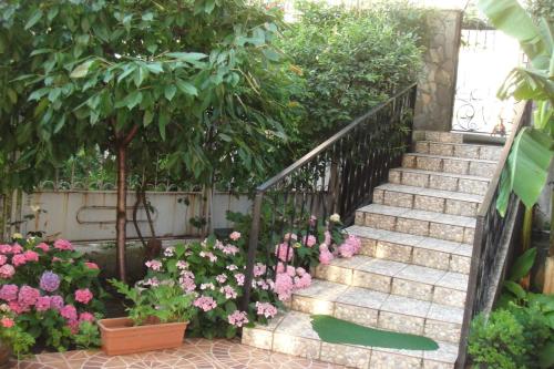 Mashuk Hotel - image 7