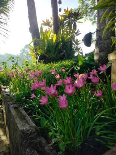 Baan Namthip Homestay Trang บ้านน้าทิพย์ โฮมสเตย์ตรัง thumbnail 4