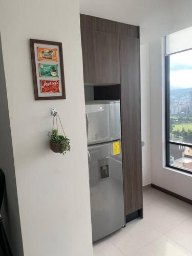 Confort suite La Carolina