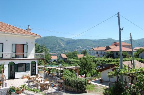 View, Rabbit in Agerola
