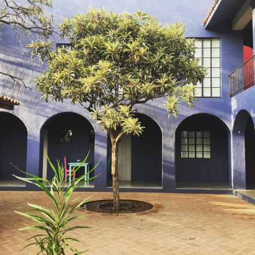 La Betulia Bed and Breakfast – Oaxaca, NE