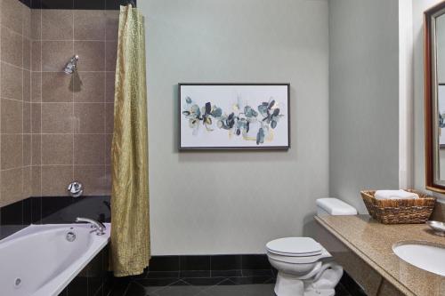 SpringHill Suites Memphis Downtown - image 8