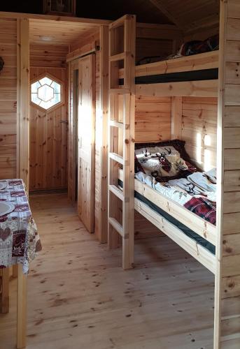 White wood tiny house