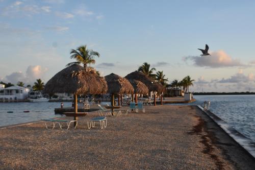 Programlehetőségek, Pelican's Roost, Waterfront comfort at Venture Out in Cudjoe Key (FL)