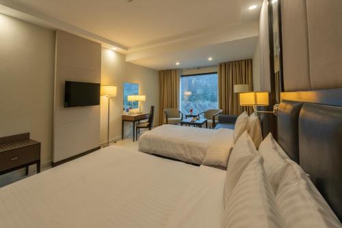 1 king bed, 1 twin bed, 1 sofa bed