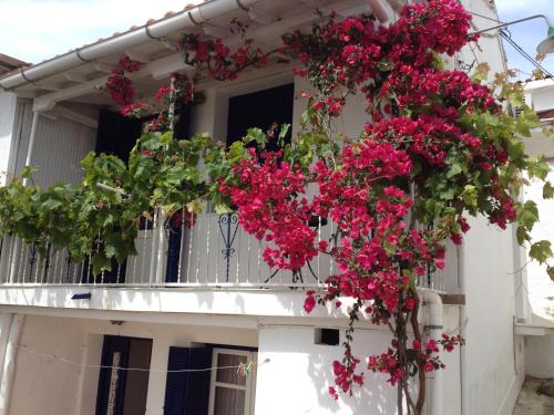 Viewtyhouse Viewtyhouse