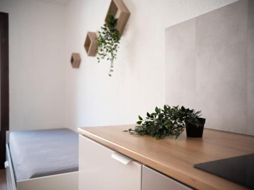 Appartement tout équipé balcon à 5min de la gare St Charles, Marseille (photo 9)