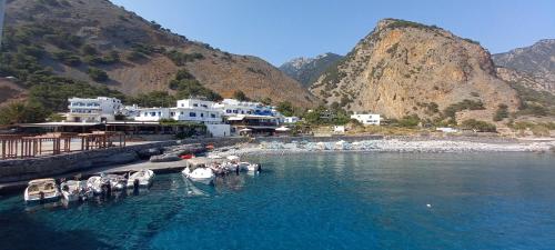 View, Zorbas Studios in Sfakia
