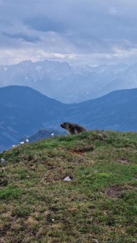 Almgasthaus Glocknerblick