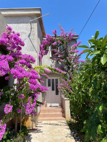 Apartments Flowers - Location saisonnière - Privlaka