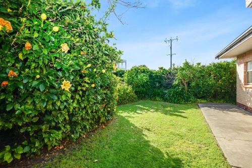 Panoramic Views Over the Bay