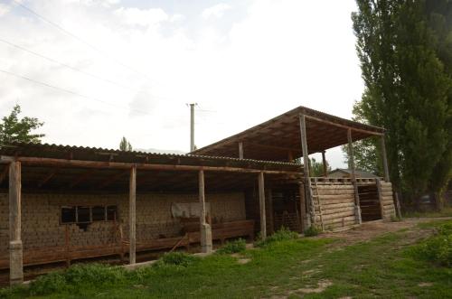 Woody Guest House Nursultan