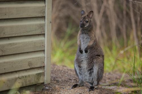 Freycinet Lodge