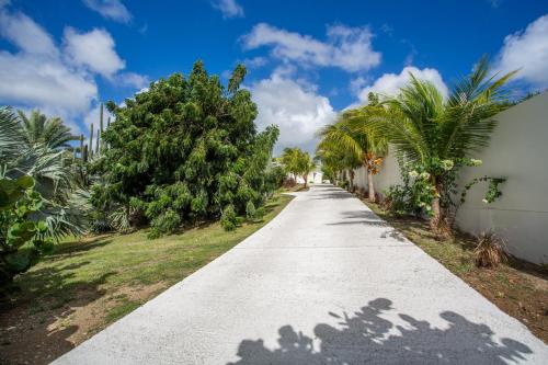 A Beautiful Villa Curacao with large pool and tropical garden