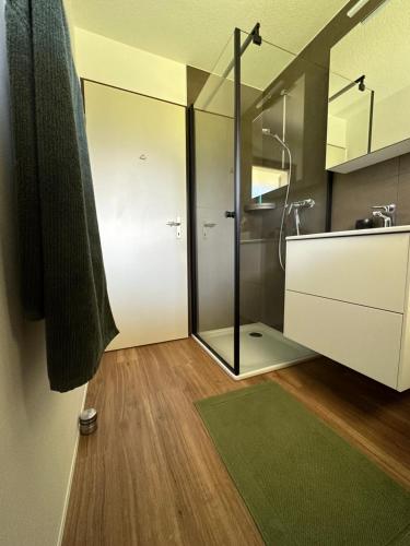 Apartment EigerView in Grindelwald, Schweiz