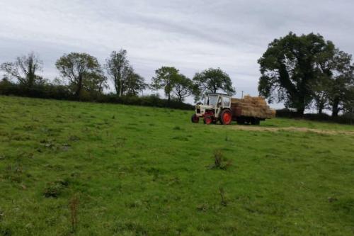 3 bedroom house close to lough sheelin