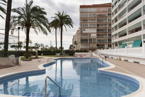 Lider, 5-C, Cullera (photo 2)
