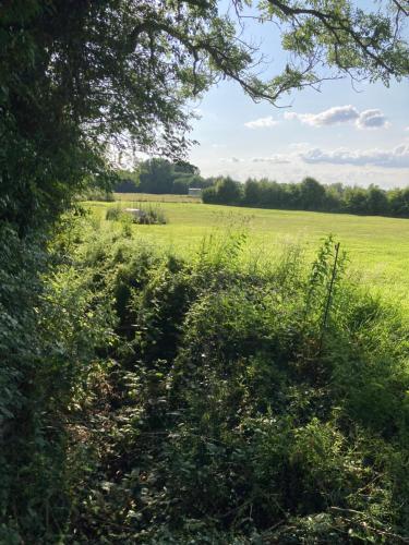 Raglans, Swindon (foto 5)