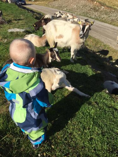 In the middle of Trysil fjellet - Welcome Center - Apartment with 4 bedrooms and sauna - By bike arena and ski lift In the middle of Trysil fjellet - Welcome Center - Apartment with 4 bedrooms and sauna - By bike arena and ski lift