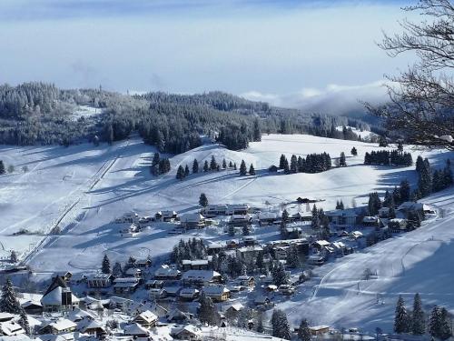 Fewo 1 - Residenz Schauinsland - mit Sauna, E-Ladestation, Todtnauberg, bei Feldberg