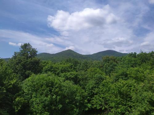 ทัศนียภาพ, Apartment Vanda in มิโฮติซิ