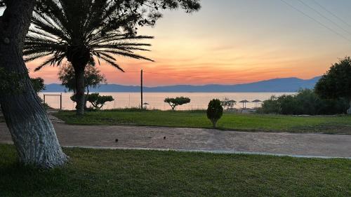 Bouros Seaview Farm - Hotel - Karistos