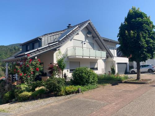 FeWo Gartenblick - Apartment - Oberharmersbach