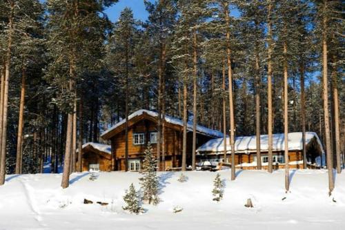 Lyxigt timmerhus i fjällen, Lofsdalen, Hjortehytta - Accommodation - Lofsdalen